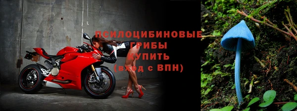 твердый Аркадак
