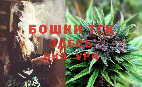 твердый Аркадак