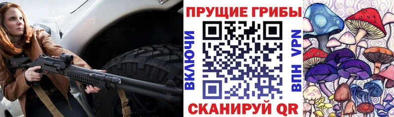 Галлюциногенные грибы мицелий  Омутнинск 